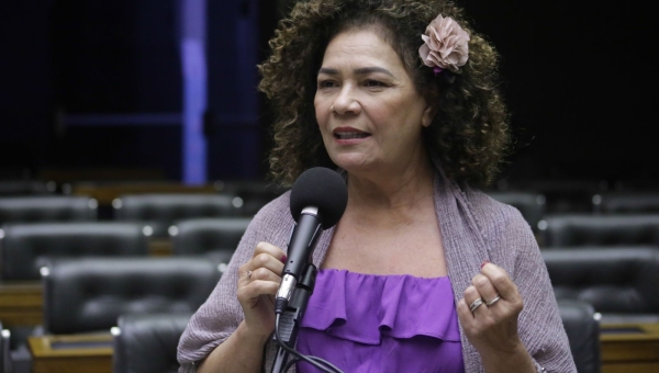 Câmara aprova projeto de Perpétua que cria o Dia de Luta pelo Parto Humanizado